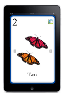 Flash Card Age 0-2 iPad App